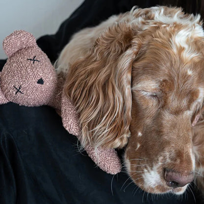 Hundespielzeug Berty der Bär Dusty pink