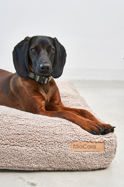 Hundekissen Senso Greige