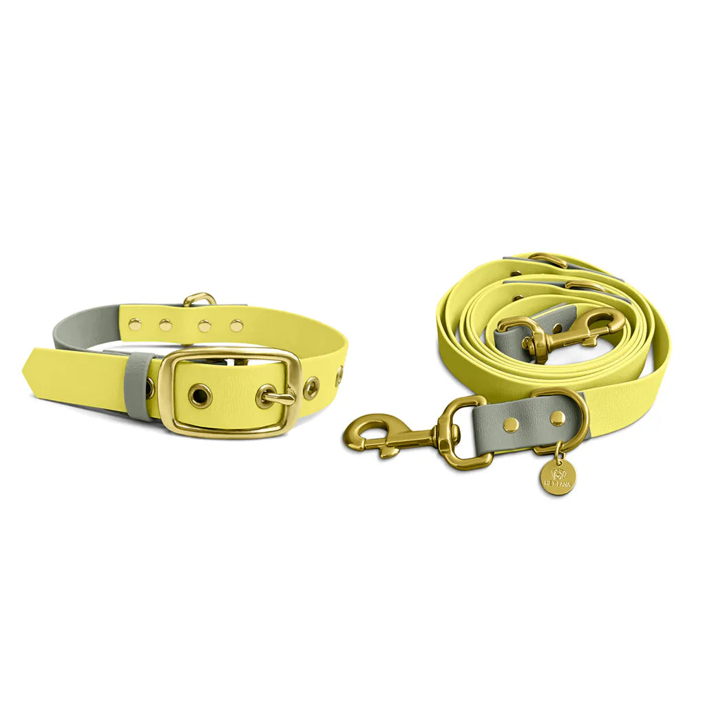 Hundehalsband Outdoor Flex Lemon/Seagrass