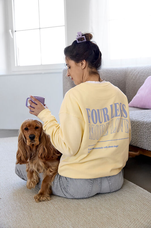Sweater Lemon Icing