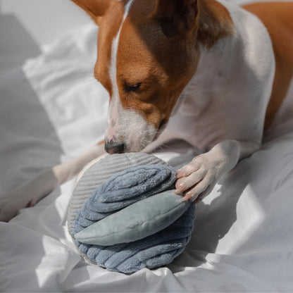 Schnüffelball Toto Marine