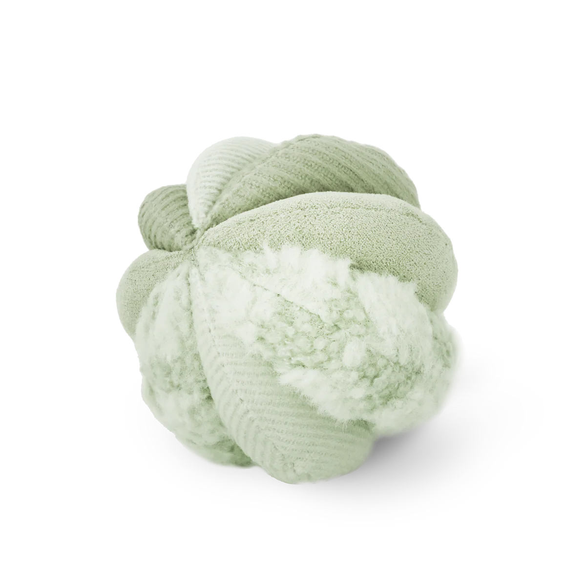 Schnüffelball Toto Small Fern