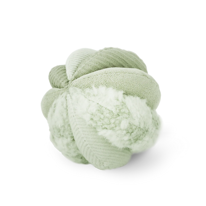 Schnüffelball Toto Small Fern