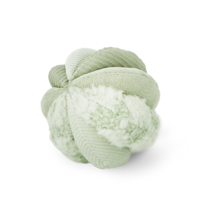 Schnüffelball Toto Small Fern