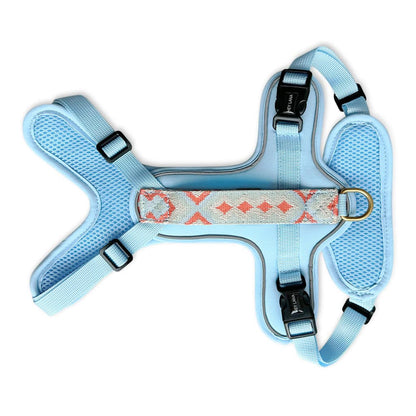 Hundegeschirr Gepolstert Coral/Blau