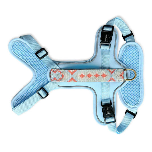 Hundegeschirr Gepolstert Coral/Blau