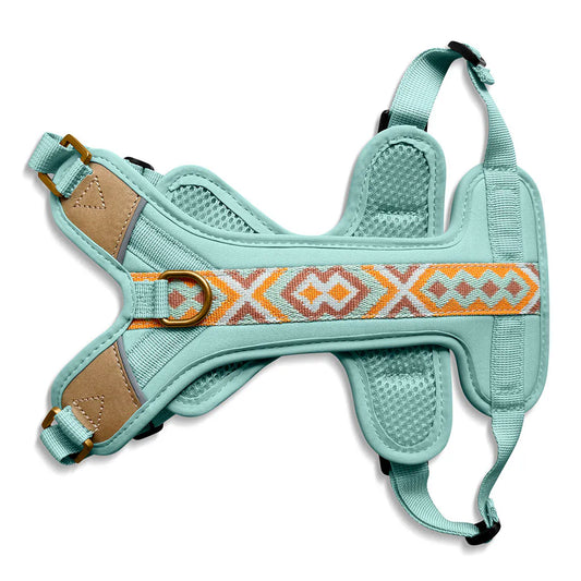 Hundegeschirr Gepolstert Mint/Orange
