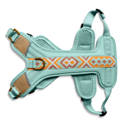 Hundegeschirr Gepolstert Mint/Orange