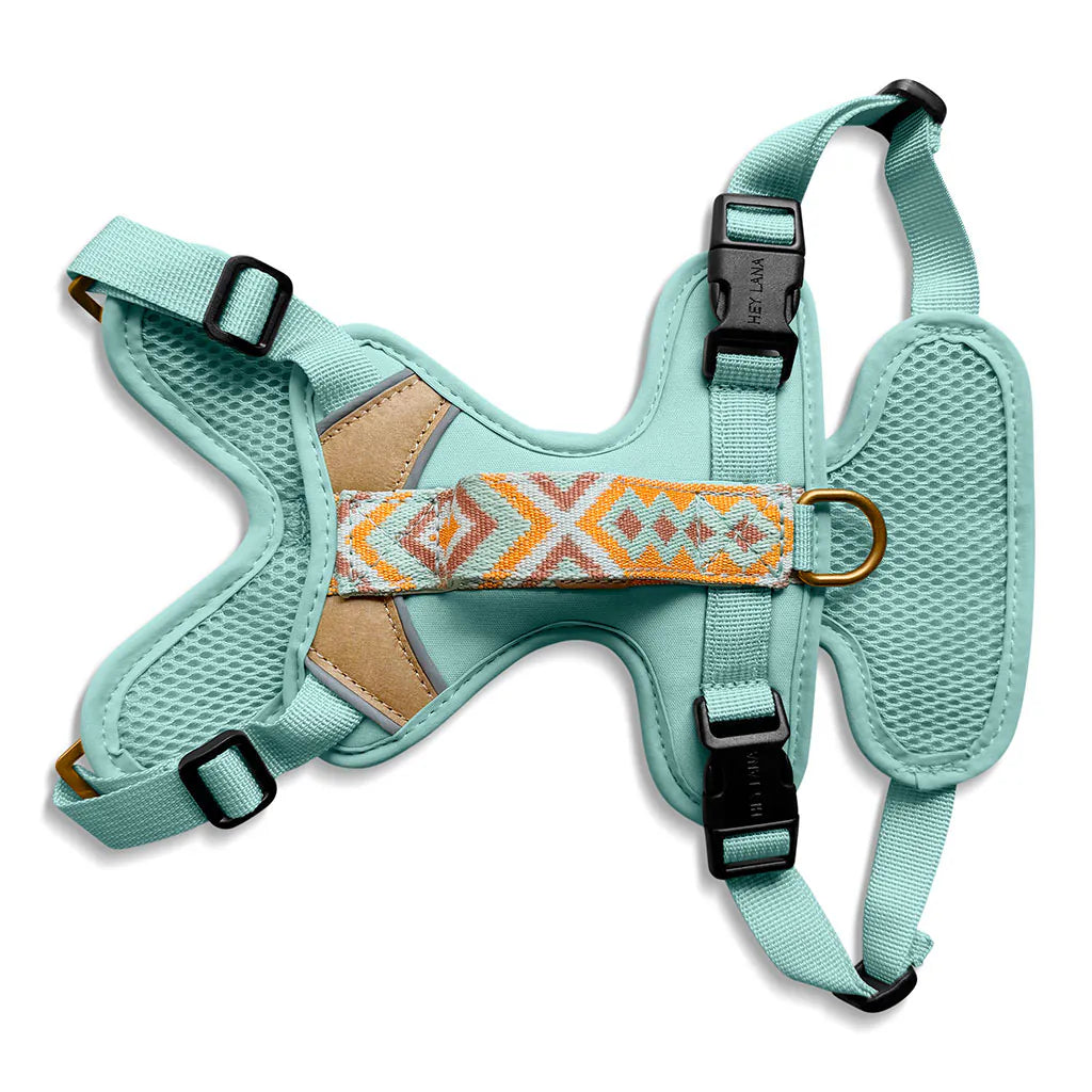 Hundegeschirr Gepolstert Mint/Orange