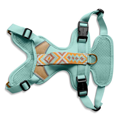Hundegeschirr Gepolstert Mint/Orange