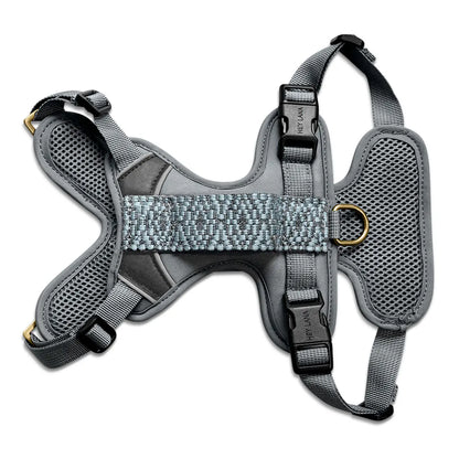 Hundegeschirr Gepolstert Anthrazit/Eisblau