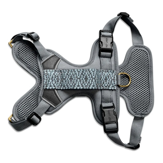 Hundegeschirr Gepolstert Anthrazit/Eisblau