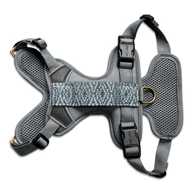 Hundegeschirr Gepolstert Anthrazit/Eisblau