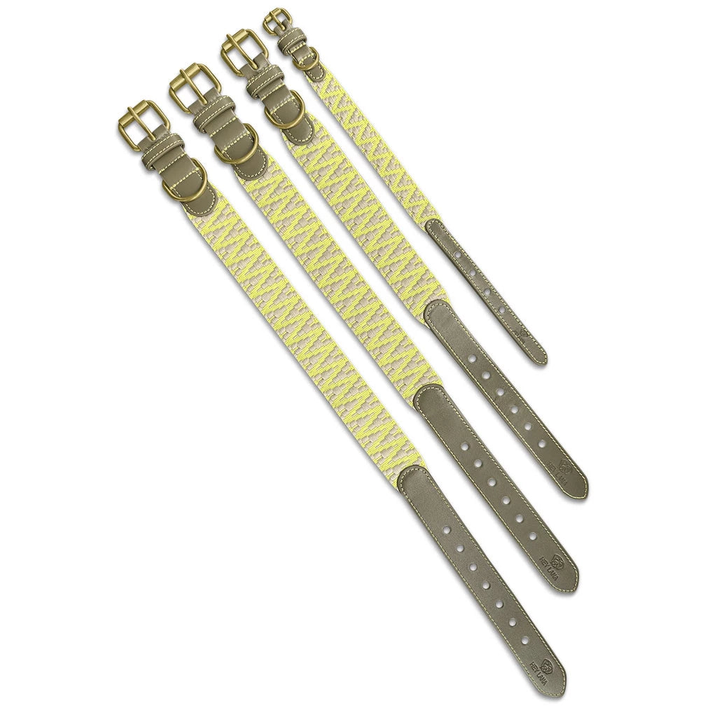 Hundehalsband Gepolstert Olivegrün/Neongelb