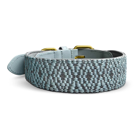 Hundehalsband Gepolstert Anthrazit/Eisblau