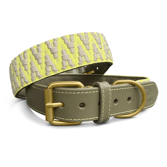 Hundehalsband Gepolstert Olivegrün/Neongelb