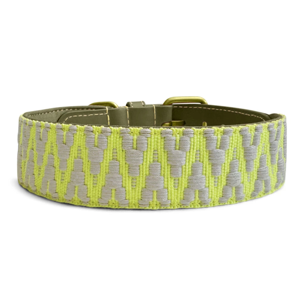Hundehalsband Gepolstert Olivegrün/Neongelb