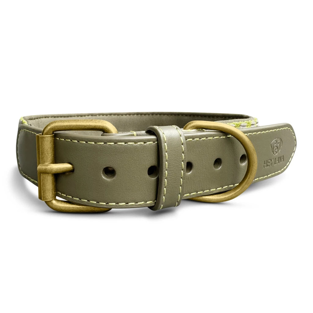 Hundehalsband Gepolstert Olivegrün/Neongelb