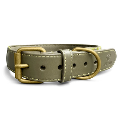 Hundehalsband Gepolstert Olivegrün/Neongelb