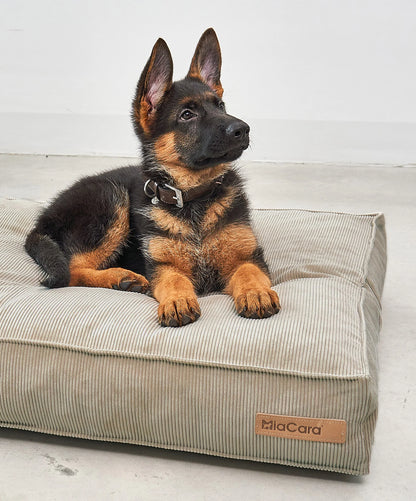 Hundekissen Cordo Greige
