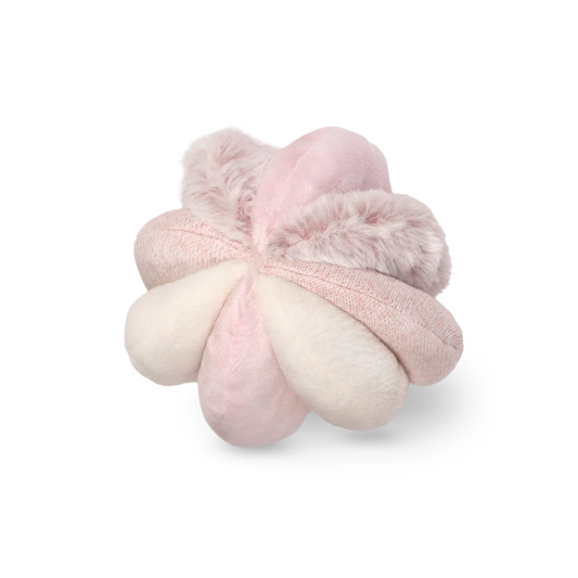 Schnüffelball Toto Rosa