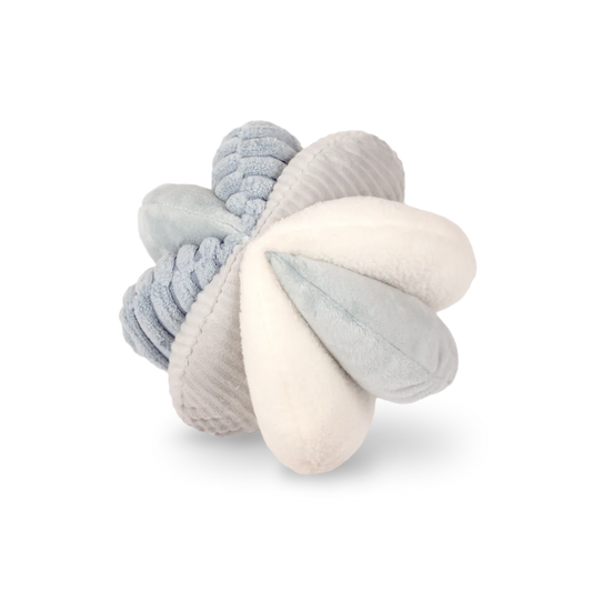 Schnüffelball Toto Marine