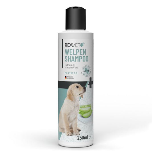 Welpenshampoo mit Aloe Vera