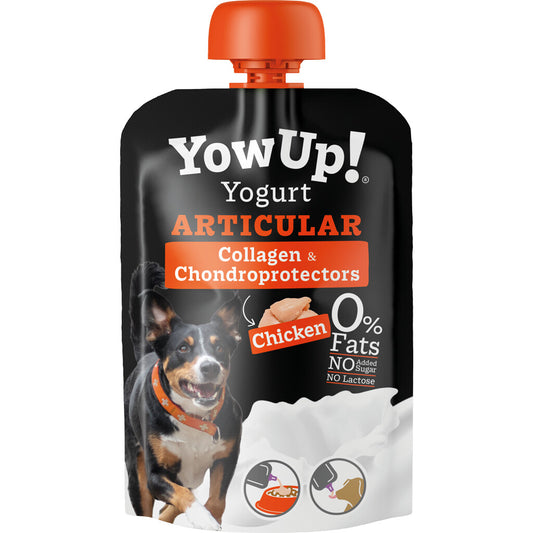 Yoghurt Articular Huhn