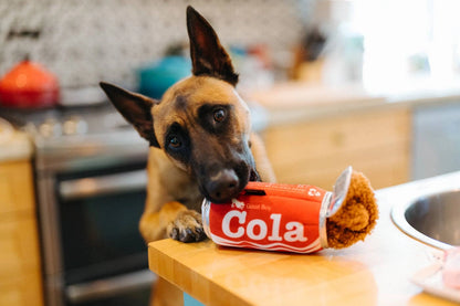 Hundespielzeug Good Boy Cola
