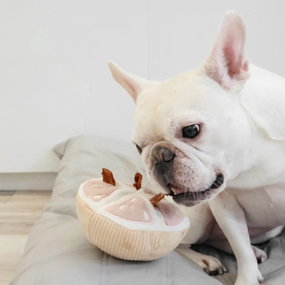 Hundespielzeug Grapefruit