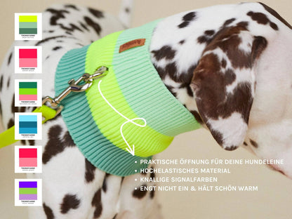 Hundeschal The Glow Loop Neon Matcha