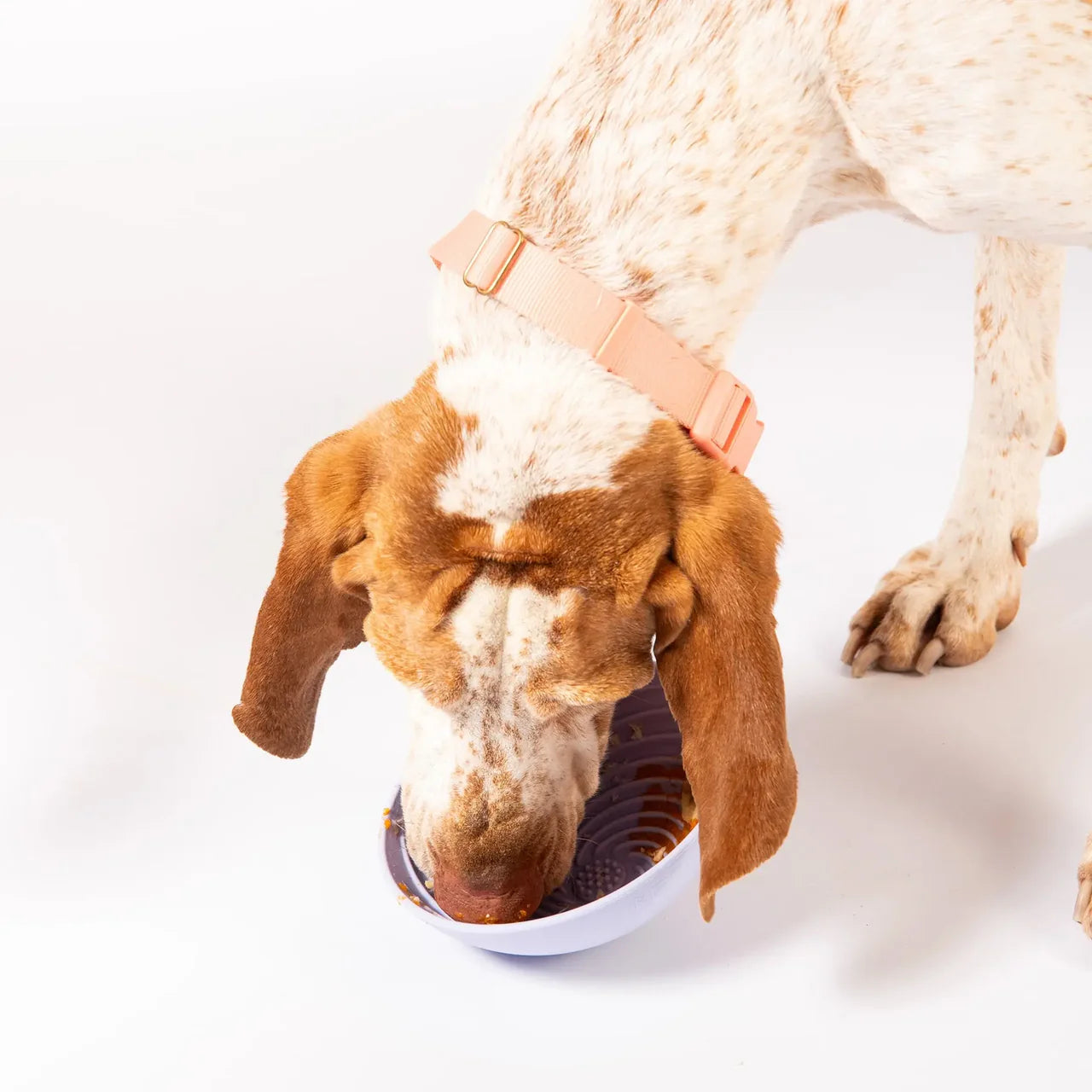 Schlecknapf Wobbowl Creme
