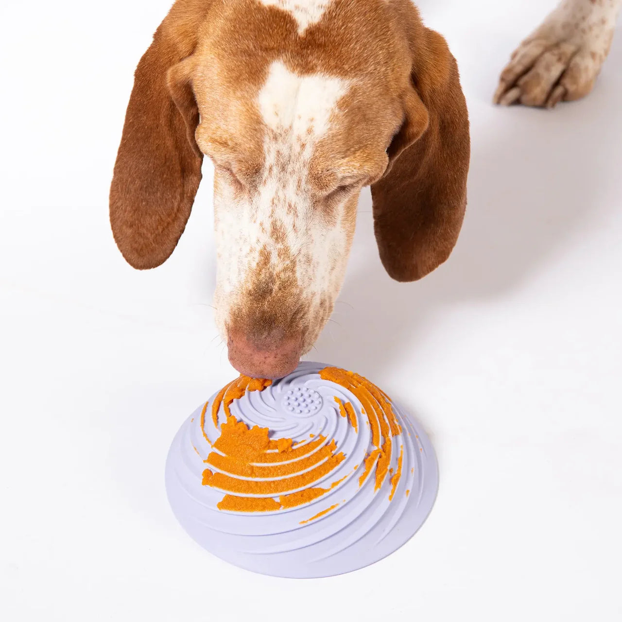 Schlecknapf Wobbowl Creme
