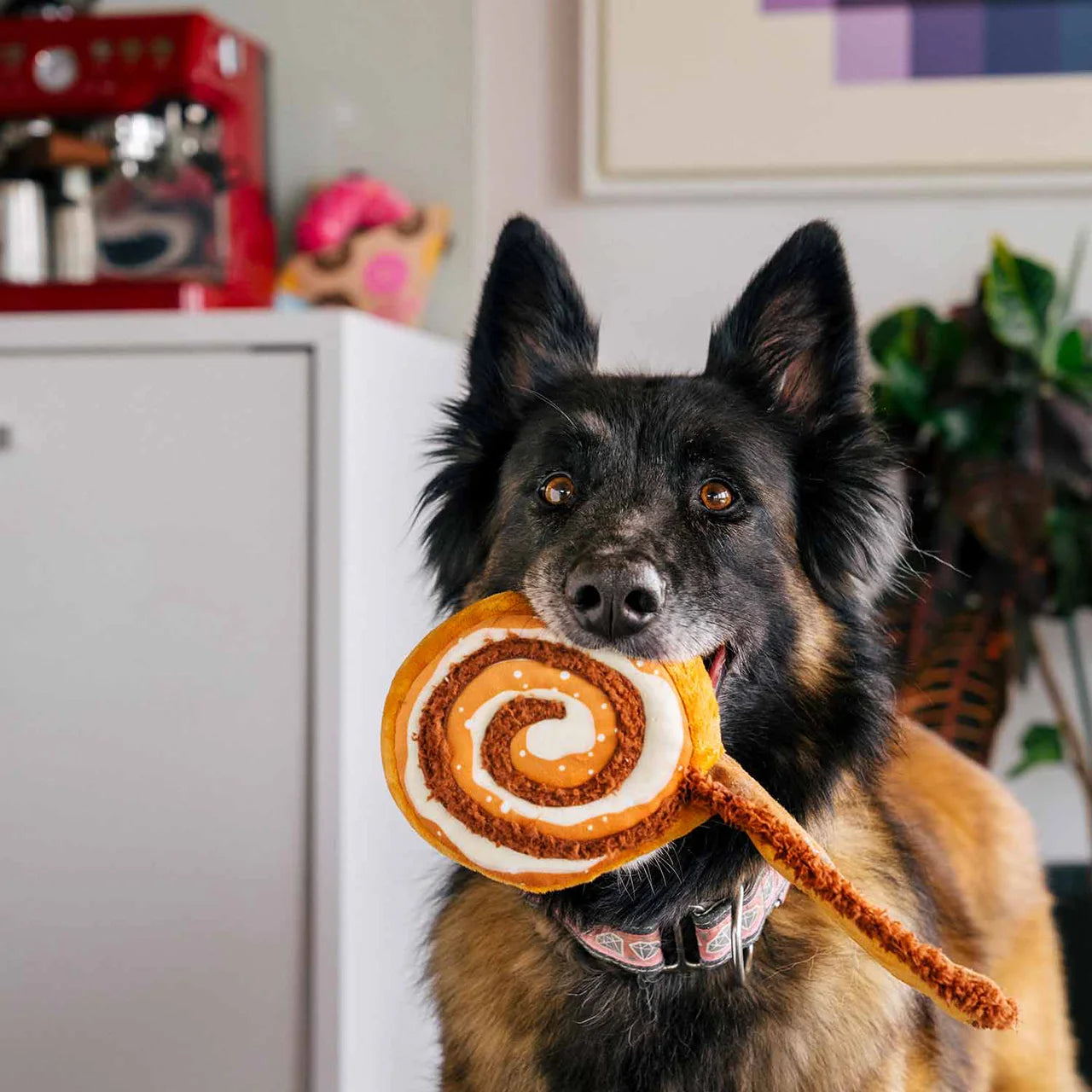 Hundespielzeug Cinna-Bone