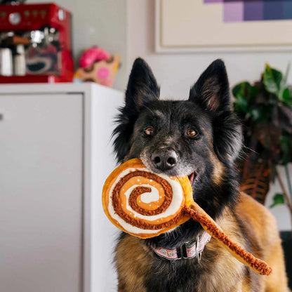 Hundespielzeug Cinna-Bone