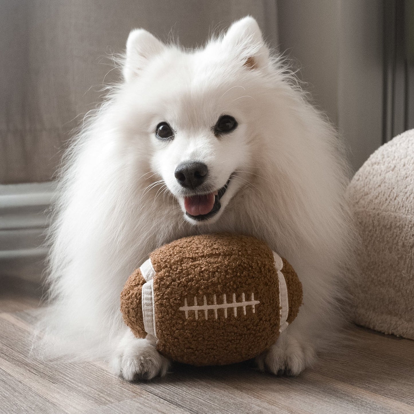 LAMBWOLF Schnüffelspielzeug Football – Detailansicht mit Hund