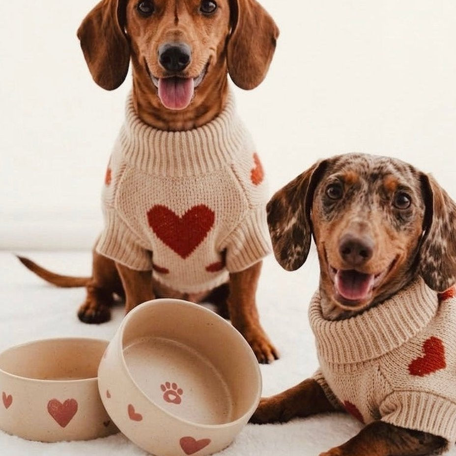 EGG BACK HOME Hundenapf Cozy Hearts 2er-Set – Anwendung mit zwei Hunden