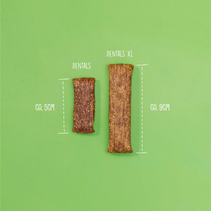 Dentals XL