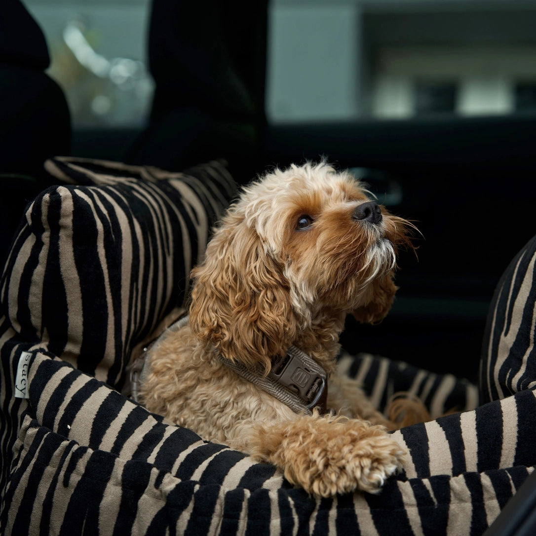 3-in-1 Hundeautositz und Reisebett Lara Gestreift 2.0