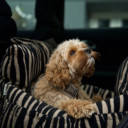 3-in-1 Hundeautositz und Reisebett Lara Gestreift 2.0
