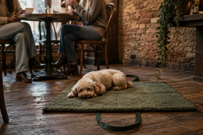DOGS IN THE CITY Reisematte Travel Pac Paddy Forest Green in Grün – Hund entspannt auf der Matte im Restaurant