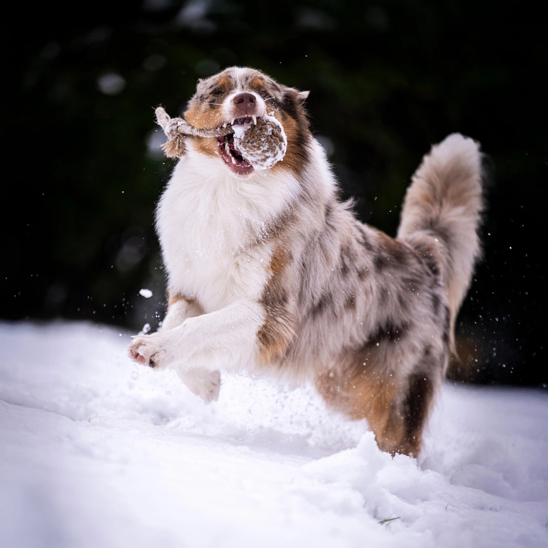 Hundespielzeug Hanfseil Schleuderball
