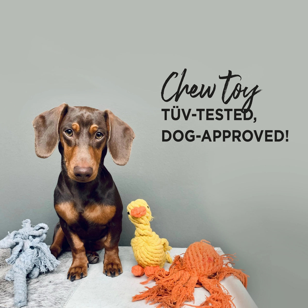 Hundespielzeug Greta Giraffe