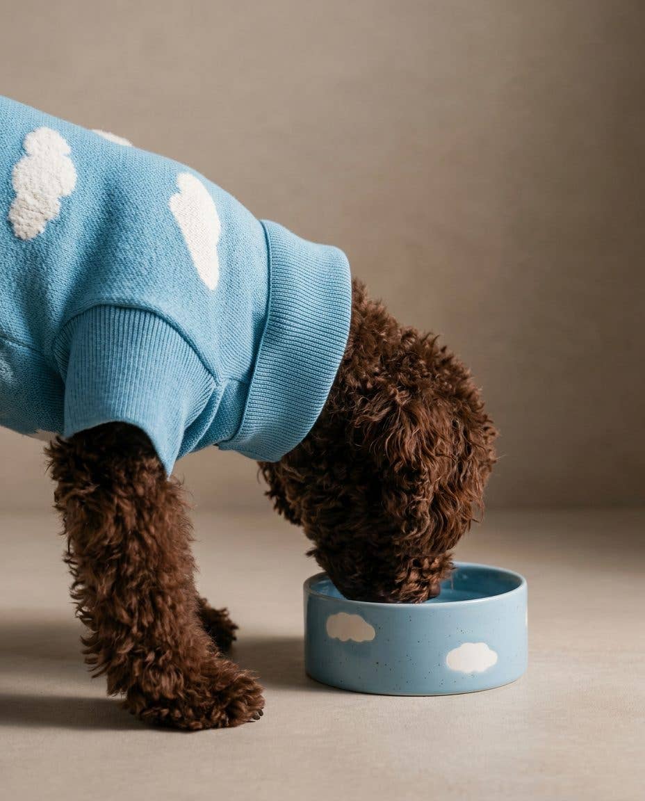 EGG BACK HOME Hundenapf Cloud Blau 14 cm – Seitenansicht mit Hund