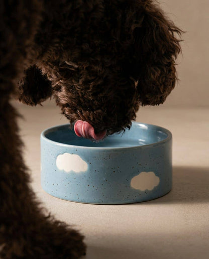 EGG BACK HOME Hundenapf Cloud Blau 14 cm – Hund beim Trinken