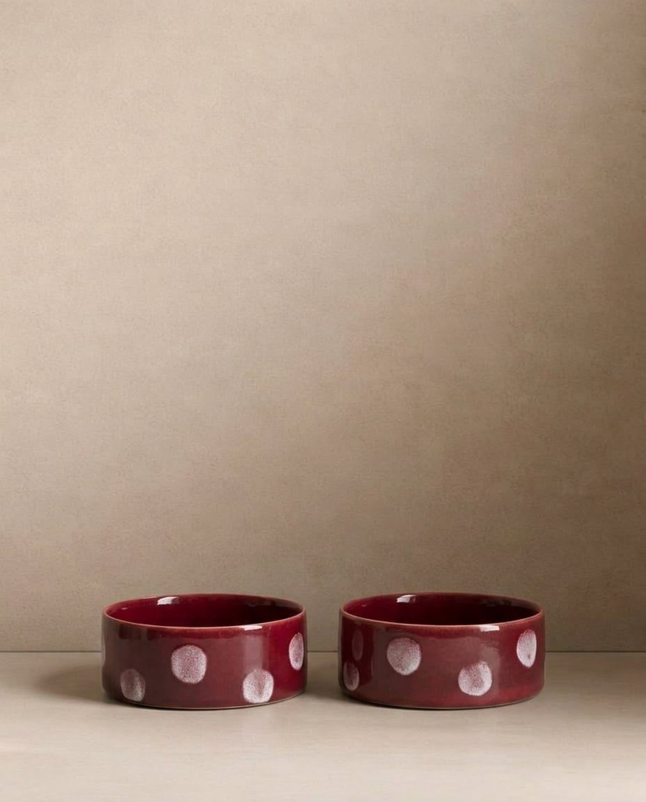 EGG BACK HOME Hundenapf Pop Dots Burgunder 2er-Set – Setansicht 16,5 cm