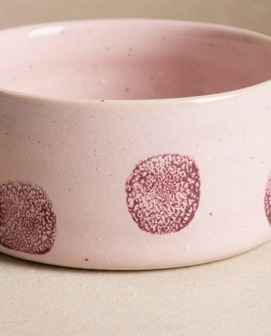 EGG BACK HOME Hundenapf Pop Dots Rosa 2er-Set – Detail der Glasur