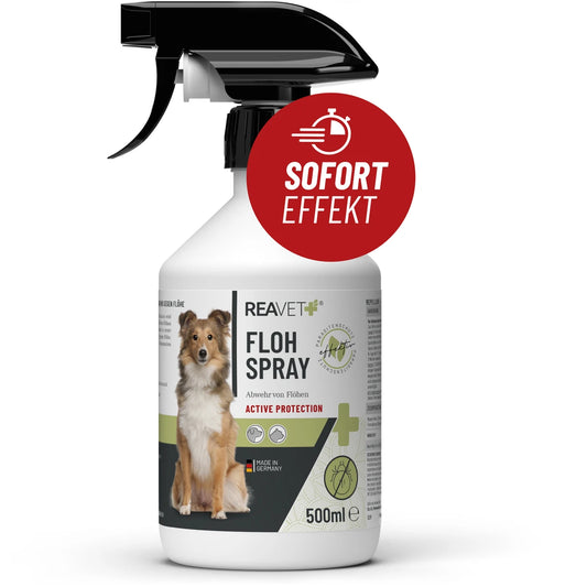 Flohspray