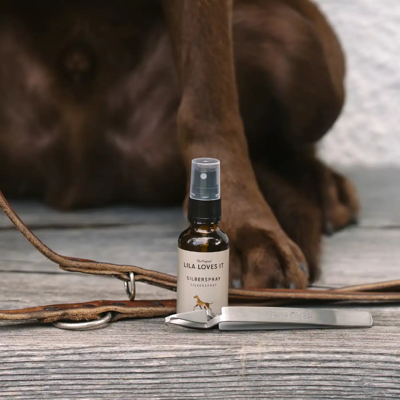 Zecken Set für Hunde