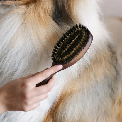 Doppelseitige Bürste